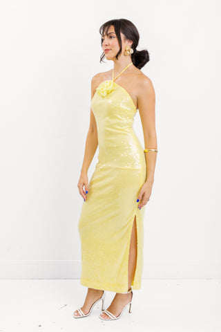 ENDLESS ROSE: Velina Maxi Dress
