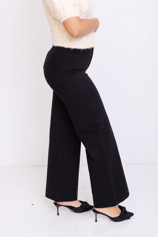 ZSUPPLY: Do It All Pant