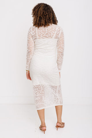 STEVE MADDEN: Illie Dress