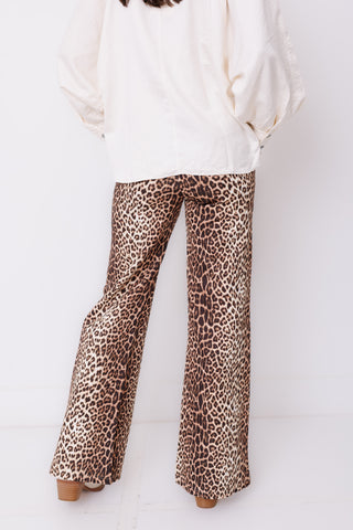 Safari Stride Wide Leg Pants