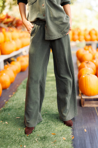 Z SUPPLY: Hunter Knit Pant