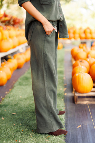 Z SUPPLY: Hunter Knit Pant