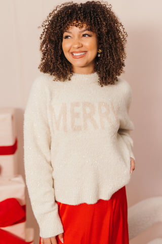 ZSUPPLY: Merry Sweater