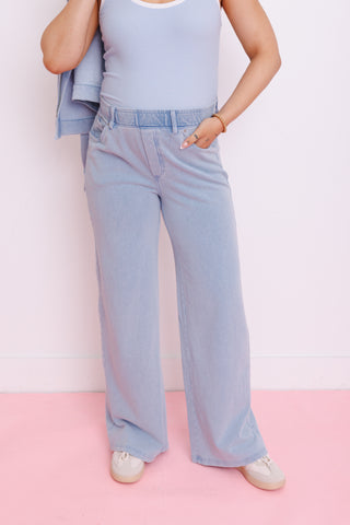 ZSUPPLY: Entourage Pant, INDIGO