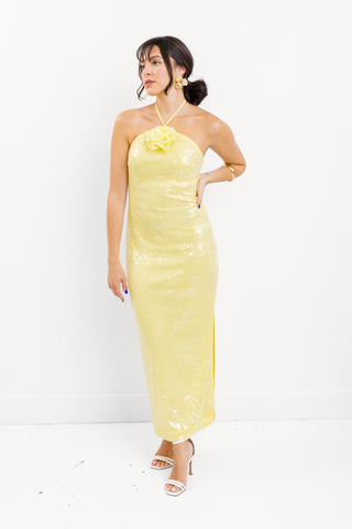 ENDLESS ROSE: Velina Maxi Dress