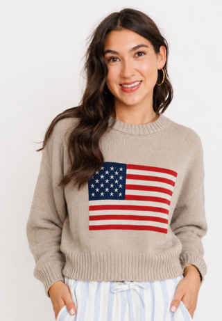ZSUPPLY: Sienna Patriot Sweater