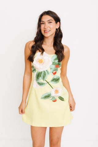 Niah Min Dress