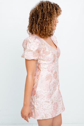 Rosewater Elegance Mini Dress