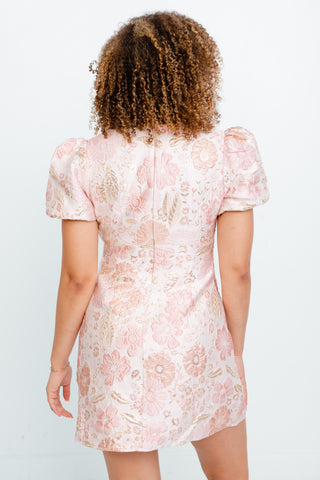 Rosewater Elegance Mini Dress