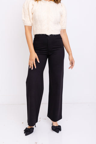 ZSUPPLY: Do It All Pant