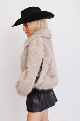 STEVE MADDEN: Charmaine Jacket