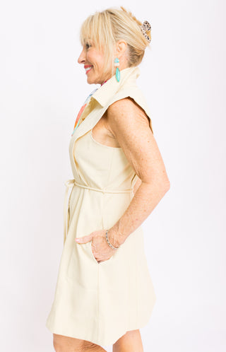 Polished Poise Mini Dress