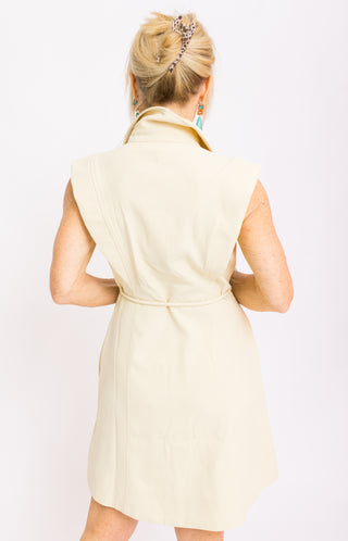 Polished Poise Mini Dress