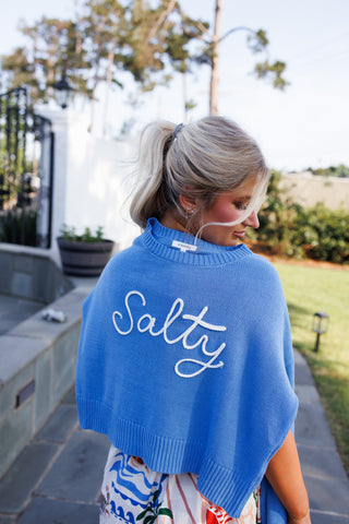 ZSUPPLY: Sienna Salty Sweater