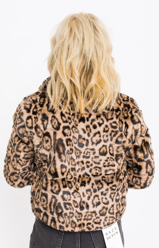 Midnight Prowl Jacket