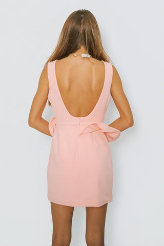 Coralie Mini Dress